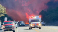 Huge wildfire erupts near wealthy New York Hamptons enclave sending massive plume of smoke into the sky and closes roads