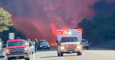 Huge wildfire erupts near wealthy New York Hamptons enclave sending massive plume of smoke into the sky and closes roads