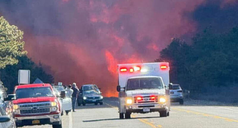 Huge wildfire erupts near wealthy New York Hamptons enclave sending massive plume of smoke into the sky and closes roads