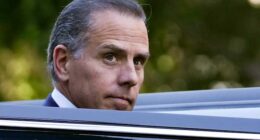 IRS agents who investigated Hunter Biden given promotions at the Treasury Department