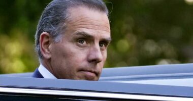 IRS agents who investigated Hunter Biden given promotions at the Treasury Department