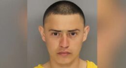 Illegal immigrant released by Biden admin charged with killing Georgia grandmother in random attack