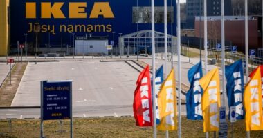 Is this Putin’s most bizarre plot yet? Russian spies behind firebombing of IKEA store after bribing teen with a BMW