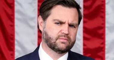 JD Vance launches another attack on European values - warning the West risks 'civilisational suicide' caused by open borders and censorship