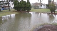 Joe Bellavia says Roselle, Illinois neighbors failed to get approval for regrading yard, which is causing flooding on his property