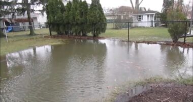 Joe Bellavia says Roselle, Illinois neighbors failed to get approval for regrading yard, which is causing flooding on his property