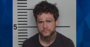 Kentucky Man on Meth Crashes Stolen Truck Into Police Vehicle, Tries to Flee