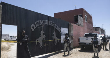 Killing site in Jalisco, Mexico is just the latest in a long series of gruesome discoveries