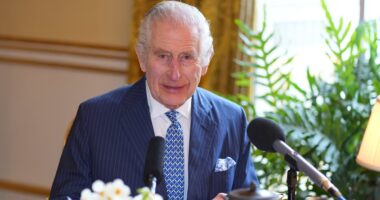 King Charles to call for Commonwealth unity in 'uncertain times' in his annual address - amid monarch's 'concerns' over Canada's trade war with Trump