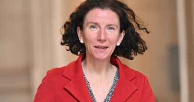 Labour minister Anneliese Dodds QUITS over Keir Starmer cutting international aid spending to boost Britain’s defence