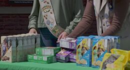 Lawsuit alleges toxins in Girl Scout cookies, sparking consumer concerns