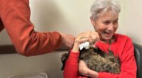 Los Angeles wildfires: One cat's incredible reunion with its owner after the Palisades Fire