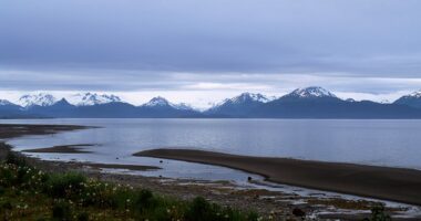 Man, 2 juveniles rescued from plane wreckage hours after crashing in Alaska