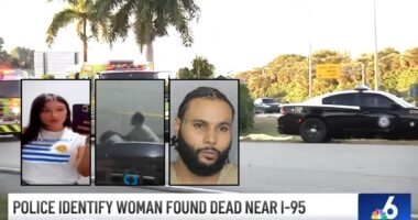 Man 'dragged' girlfriend into I-95 traffic, killing her: DA