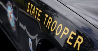 Man killed in fiery Flagler County crash, troopers say