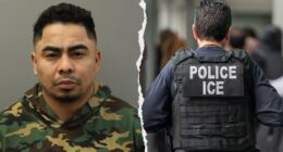 Migrant gang member suspected of murder, sexually assaulting girlfriend is arrested