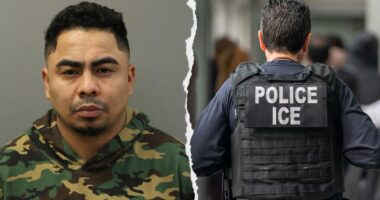 Migrant gang member suspected of murder, sexually assaulting girlfriend is arrested