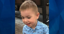 Missing: 2-Year-Old Boy Last Seen Playing in Yard