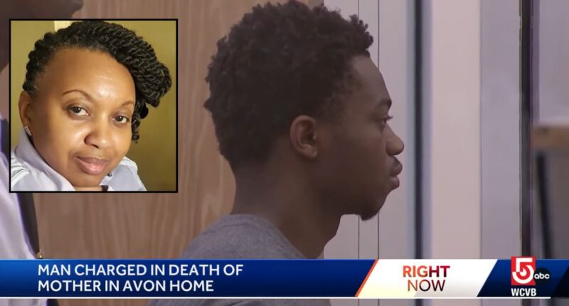 Mom found fatally stabbed during son's mental health day: DA