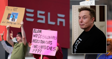 Musk claims George Soros, LinkedIn co-founder Reid Hoffman are funding 'protests' against Tesla