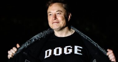 Musk floats drastic action against judge who blocked Trump's deportation of Venezuelan gang