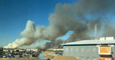 New York brush fires: Governor declares state of emergency for wind-driven brush fire on Long Island