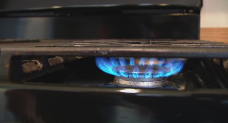 Painesville fire crews respond to reports of 'widespread' natural gas smell