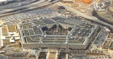 Pentagon is the latest agency to announce a leak investigation that could include polygraphs