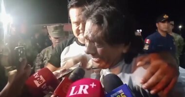 Peruvian fisherman found alive after 95 days lost at sea