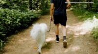 Pet-friendly vacation spots in Illinois includes Moraine Hills park, McHenry Beverage Trail, Lincoln Home National Historic Site