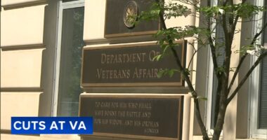 President Donald Trump's administration plans to fire over 70K employees at US Department of Veterans Affairs, memo shows