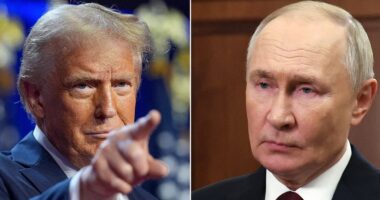 Putin thanks Trump for principles of ceasefire push, but does not say yes