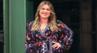 Reason For Kelly Clarkson's Absence From Her Show Revealed