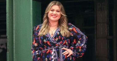 Reason For Kelly Clarkson's Absence From Her Show Revealed