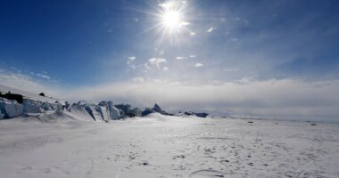 Research team member at isolated Antarctica base accused of attacking colleague, sexual harassment