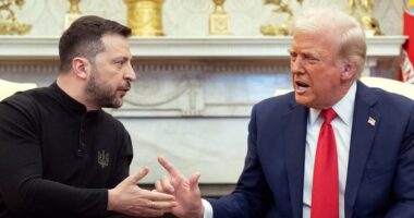 Revealed: The nine words that triggered historic blockbuster clash between Zelensky and Trump - as world holds it breath to see Donald's next move