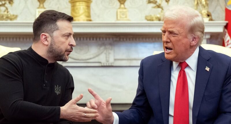 Revealed: The nine words that triggered historic blockbuster clash between Zelensky and Trump - as world holds it breath to see Donald's next move