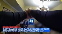 River Glen of St. Charles police shooting: Bodycam video shows officer fatally shooting chainsaw-wielding Daniel H. Escalera