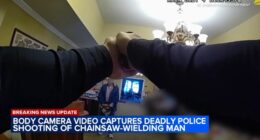 River Glen of St. Charles police shooting: Bodycam video shows officer fatally shooting chainsaw-wielding Daniel H. Escalera