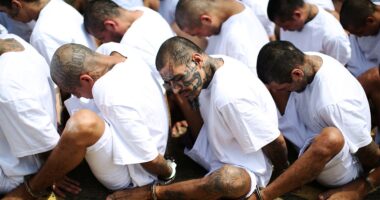 Sanctuary policies fuel Latin American gangs smuggling drugs, endangering Americans: former DEA agent