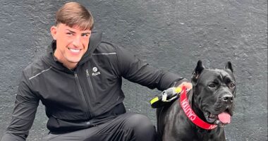 Shamed Love Island star Jack Fincham walks free from court after winning appeal against prison sentence for dog attack committed by his cane corso