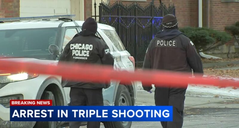 South Shore, Chicago shooting: Alleged Venezuelan Tren De Aragua gang member arrested; 3 women shot, 2 killed, near 78th, Ogelsby