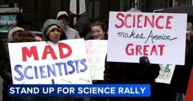 'Stand Up for Science' rally: Protesters in Federal Plaza, Chicago oppose Trump administration, federal research funding cuts