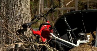 Storm deaths | Brothers Joshua, Josiah Leviskia die after tree falls, splits trailer in half during storm in North Carolina