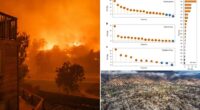 In January, devastating wildfires swept across Los Angeles , killing at least 28 people and destroying more than 10,000 homes. Now, a study has warned that this could be a taste of things to come. Scientists from the University of Science and Technology of China say that the frequency of fires in cities is set to skyrocket, thanks to climate change.