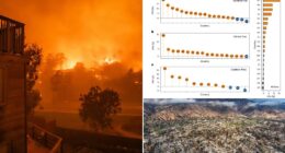 In January, devastating wildfires swept across Los Angeles , killing at least 28 people and destroying more than 10,000 homes. Now, a study has warned that this could be a taste of things to come. Scientists from the University of Science and Technology of China say that the frequency of fires in cities is set to skyrocket, thanks to climate change.