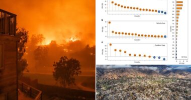 In January, devastating wildfires swept across Los Angeles , killing at least 28 people and destroying more than 10,000 homes. Now, a study has warned that this could be a taste of things to come. Scientists from the University of Science and Technology of China say that the frequency of fires in cities is set to skyrocket, thanks to climate change.