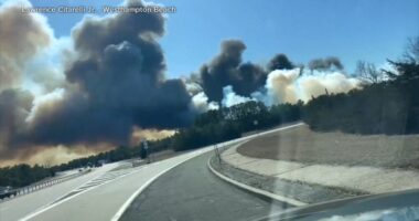 Sunrise Highway wildfires: Suffolk County brush fires likely started by resident making back yard s'mores