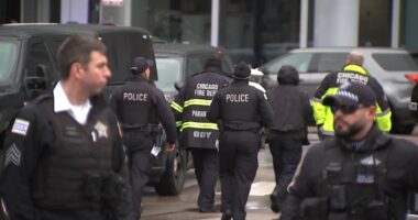 Swatting causes large Chicago police response near Jones College Prep on State Street in South Loop: CPD