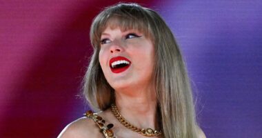 Taylor Swift's stolen Eras Tour tickets allegedly resold by cybercrew in $635,000 hacking scheme